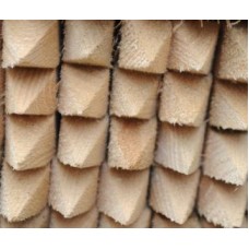 Softwood Treated Pegs